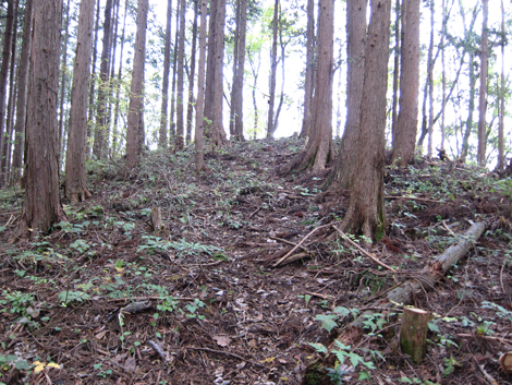 20191031hike (282)